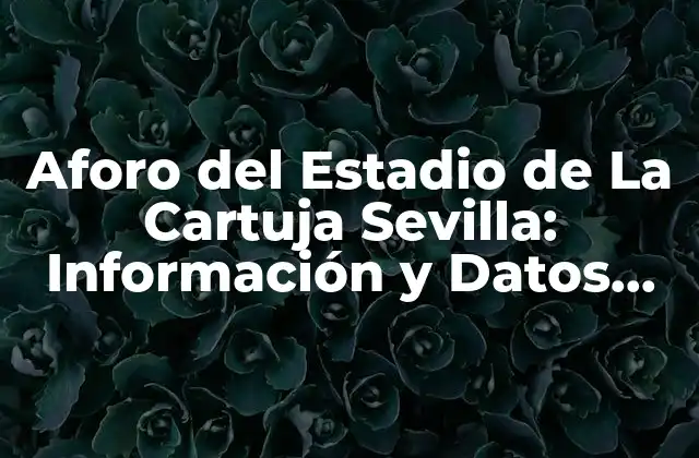 Aforo Del Estadio de la Cartuja Sevilla: Información y Datos Actualizados