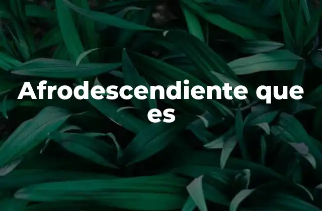 Afrodescendiente que es