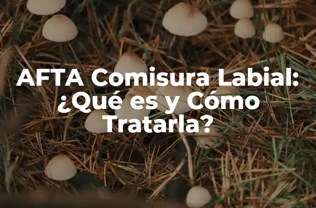 Afta Comisura Labial: ¿qué es y Cómo Tratarla?