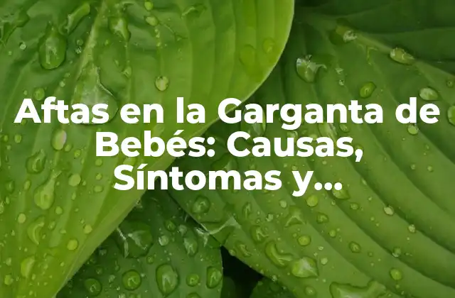Aftas en la Garganta de Bebés: Causas, Síntomas y Tratamientos