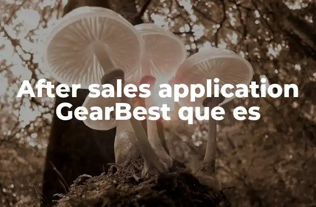 After Sales Application Gearbest que es 2 La importancia del soporte postventa en el comercio electrónico