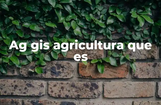 Ag Gis Agricultura que es