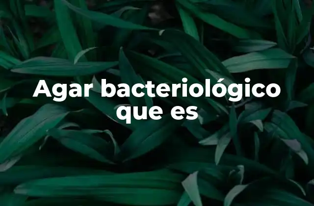Agar Bacteriológico que es