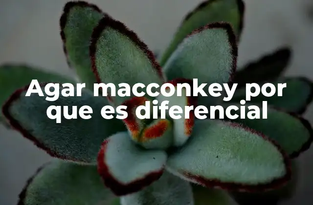 Agar Macconkey por que es Diferencial
