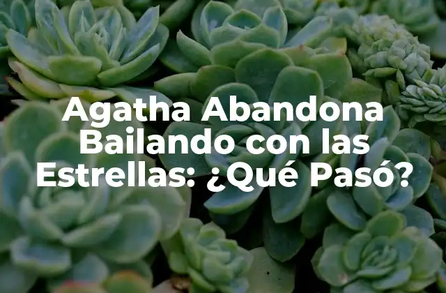 Agatha Abandona Bailando con las Estrellas: ¿qué Pasó? 2 La Trayectoria de Agatha en el Mundo del Baile