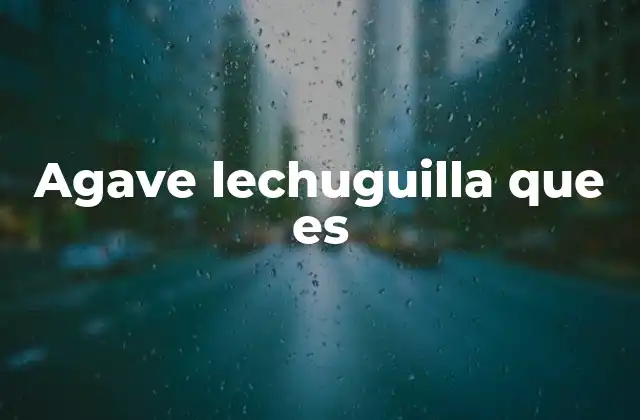Agave Lechuguilla que es