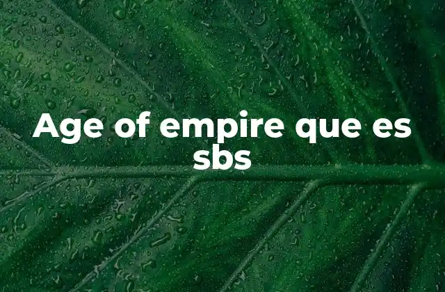 Age Of Empire que es Sbs