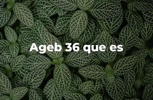 Cómo se utilizan los AGEBS en el contexto estadístico y urbano