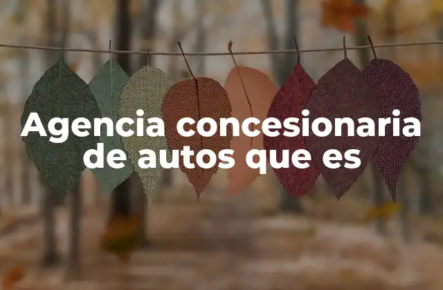 Agencia Concesionaria de Autos que es