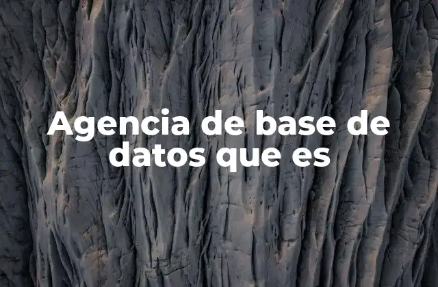 Agencia de Base de Datos que es