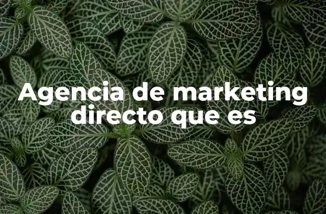 Agencia de Marketing Directo que es