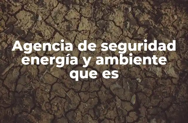 Agencia de Seguridad Energía y Ambiente que es