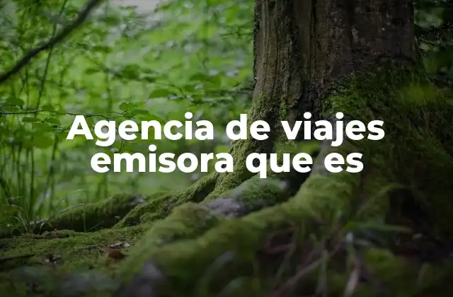 Agencia de Viajes Emisora que es