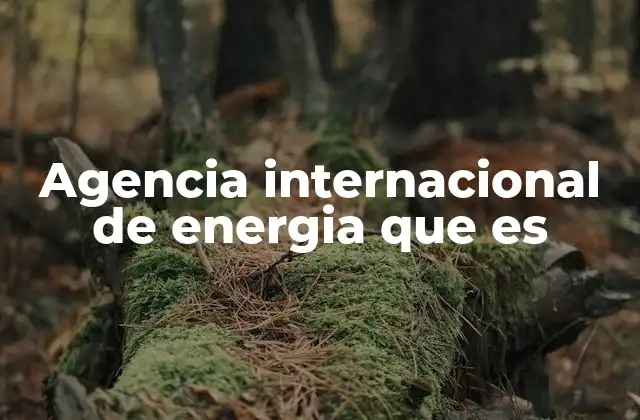 Agencia Internacional de Energia que es