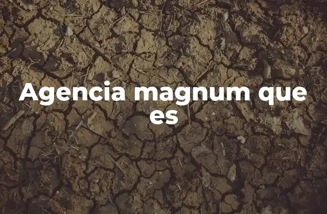 Agencia Magnum que es