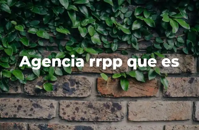 Agencia Rrpp que es