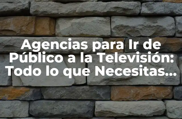 Agencias para Ir de Público a la Televisión: Todo Lo que Necesitas Saber
