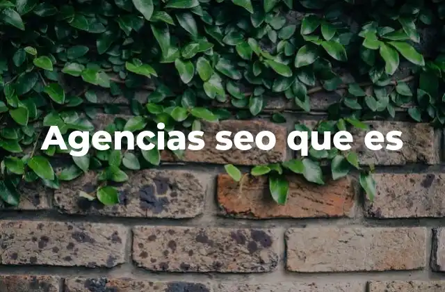 Agencias Seo que es