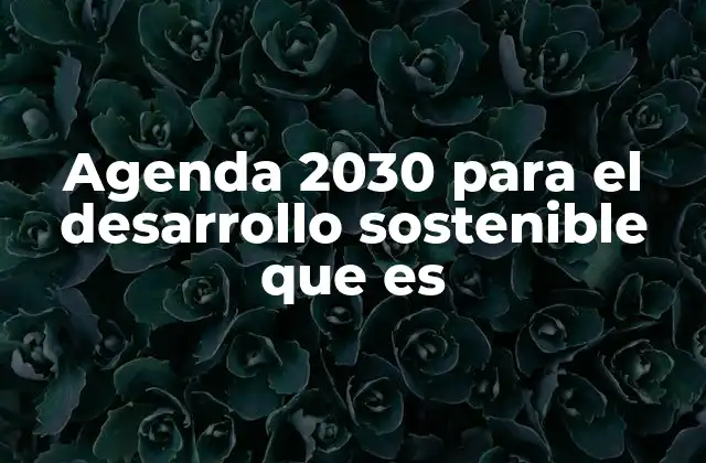 Agenda 2030 para el Desarrollo Sostenible que es