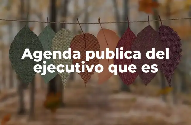 Agenda Publica Del Ejecutivo que es