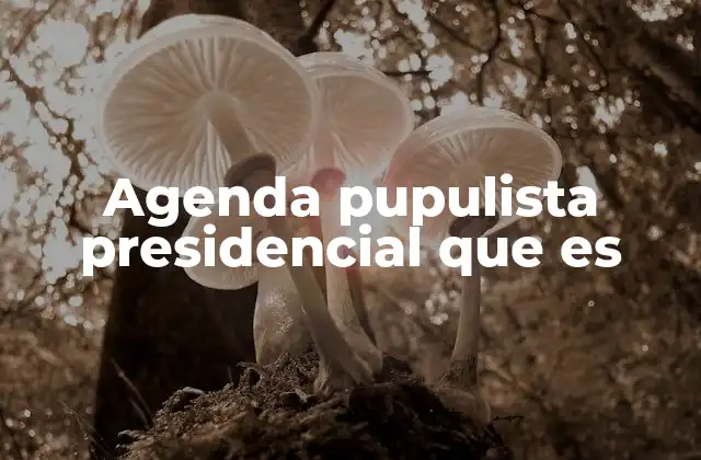 Agenda Pupulista Presidencial que es