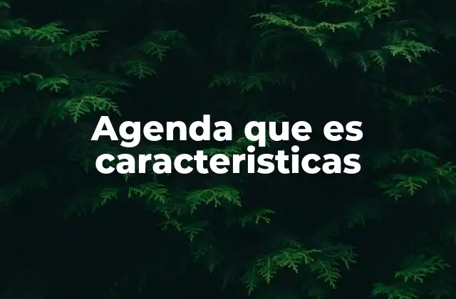 Agenda que es Caracteristicas