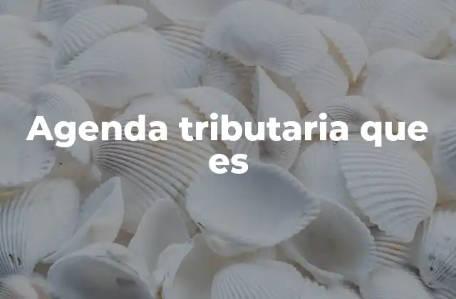 Agenda Tributaria que es