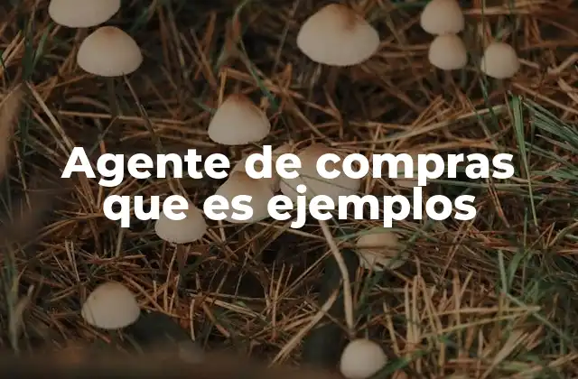 Agente de Compras que es Ejemplos