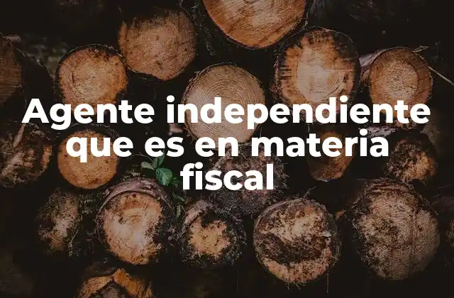 Agente Independiente que es en Materia Fiscal