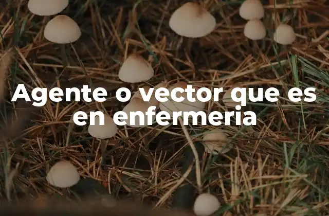 Agente o Vector que es en Enfermeria