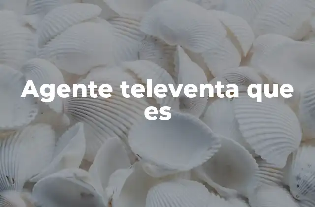 Agente Televenta que es