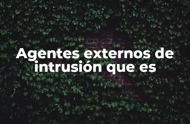 Agentes Externos de Intrusión que es 2 Amenazas invisibles en la red global