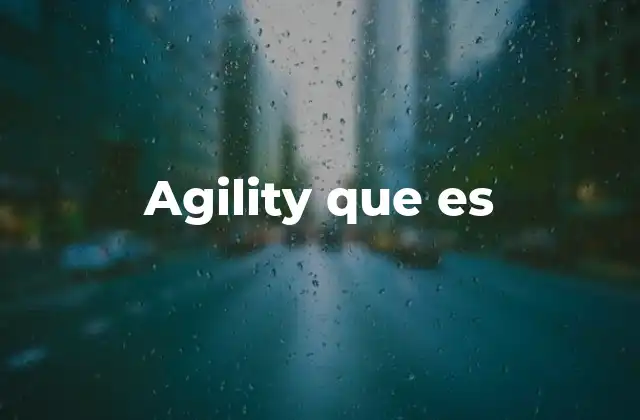 Agility que es