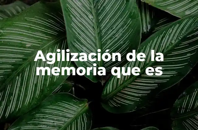 Agilización de la Memoria que es