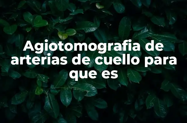 El papel de la angiografía en la medicina moderna