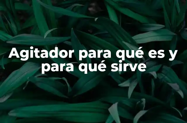 Agitador para Qué es y para Qué Sirve