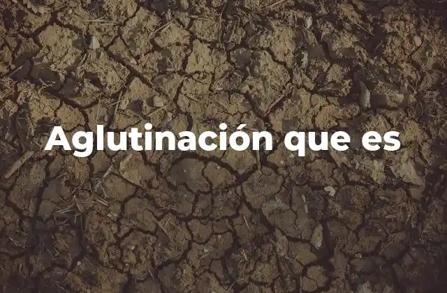 Aglutinación que es