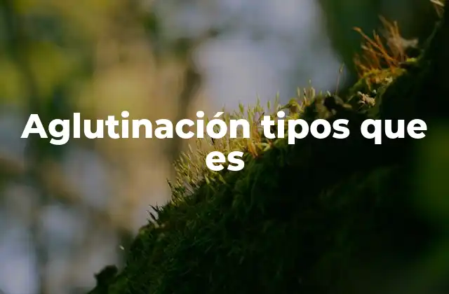 Aglutinación Tipos que es 2 El papel de la aglutinación en la biología y la química