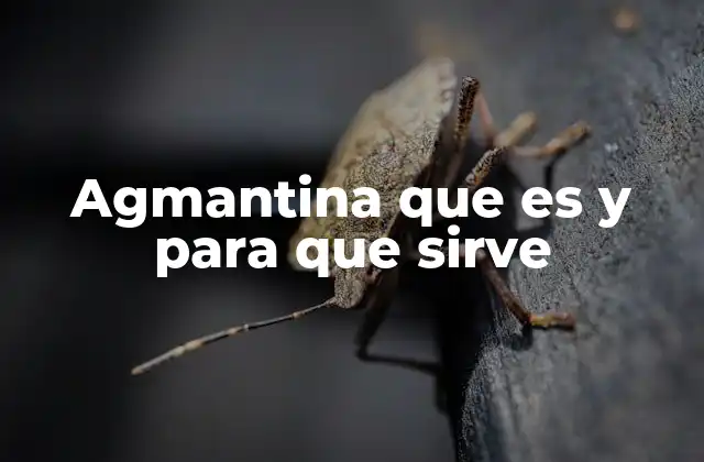 Agmantina que es y para que Sirve