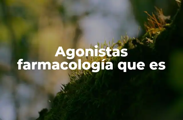 Agonistas Farmacología que es 2 Cómo funcionan los agonistas en el cuerpo humano