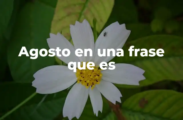 Agosto en una Frase que es