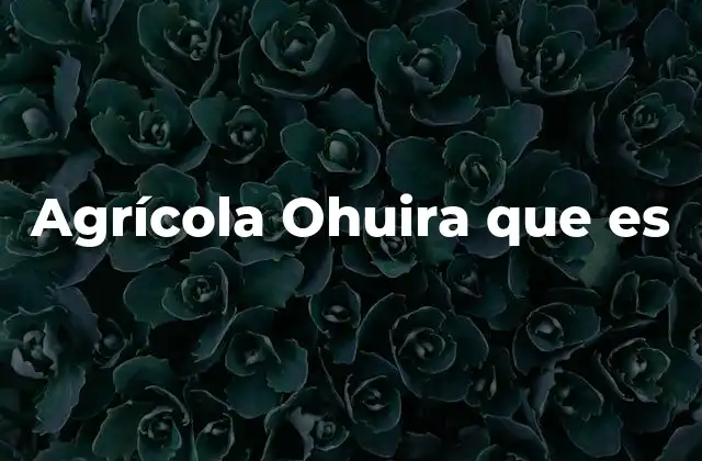 Agrícola Ohuira que es