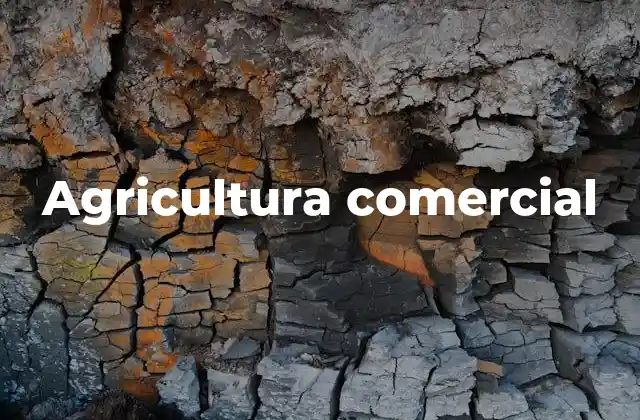 Características que distinguen la agricultura comercial