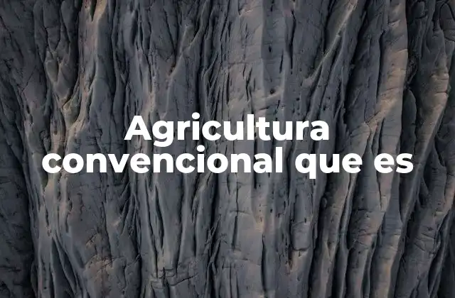 Agricultura Convencional que es