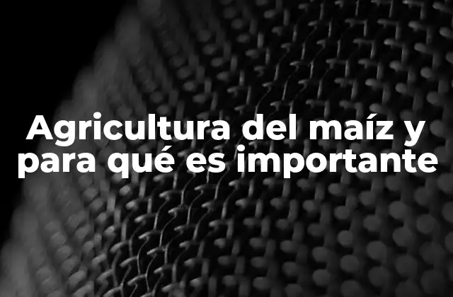 Agricultura Del Maíz y para Qué es Importante