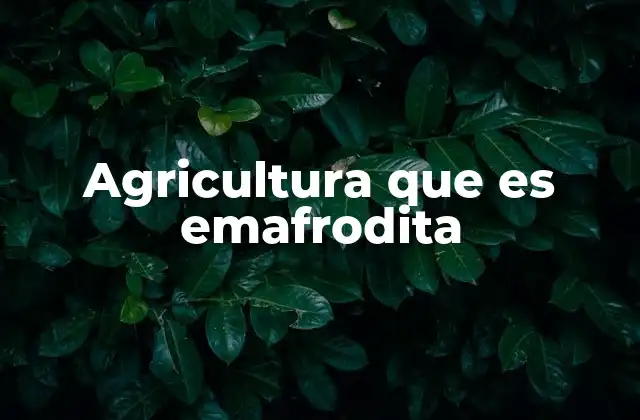 Agricultura que es Emafrodita 2 La fusión entre lo tradicional y lo moderno en la agricultura