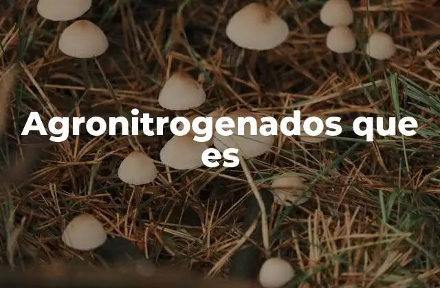 Agronitrogenados que es