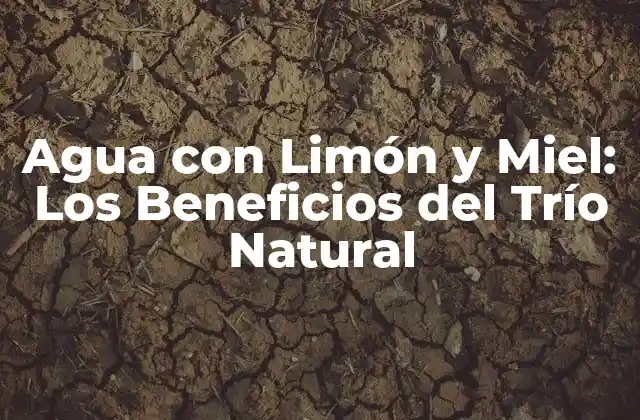 Agua con Limón y Miel: los Beneficios Del Trío Natural