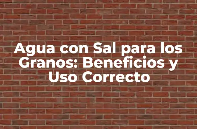 Agua con Sal para los Granos: Beneficios y Uso Correcto