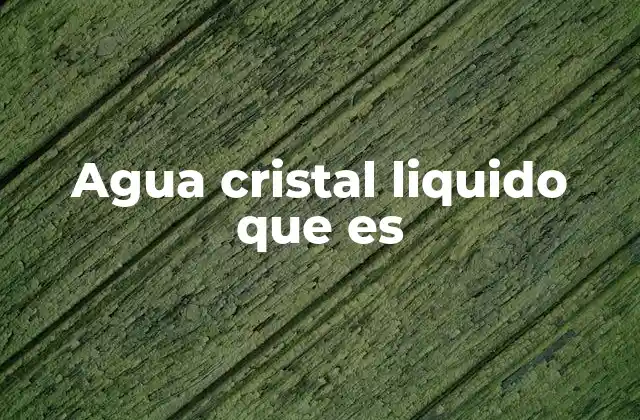 Agua Cristal Liquido que es 2 El agua entre el orden y el caos molecular